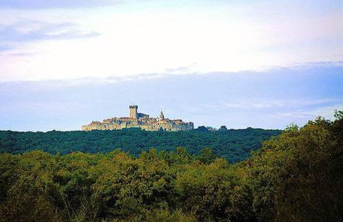 "IL CASALE DEI GIRASOLI" Country House in Capalbio - Foto 39