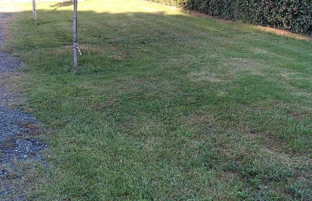 Fattoria Palazzeta Pet & Family Friendly - Foto 19