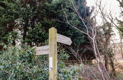 Bizzie Lizzie - Photo 60