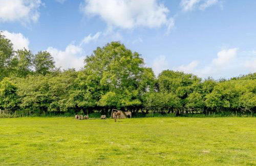 1 Bed in Kilgetty oc-88421 - Foto 48