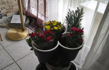 Mon nid d'or JOIGNY FRANCE - Foto 27