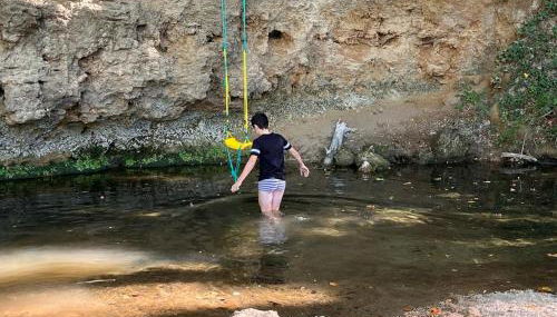 L'Olivier Fleurie Barjols - Foto 5