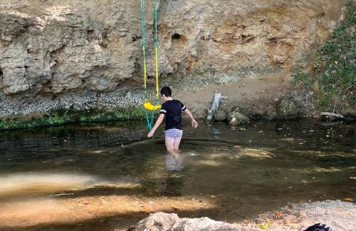 L'Olivier Fleurie Barjols - Foto 5