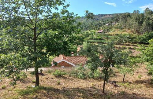 Quinta da Peça Douro Wine Region Retreat, Private Pool Villa - Foto 57