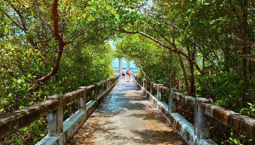 Mangue Seco - Full-Day Tour - Photo 3