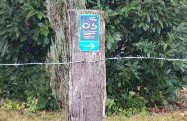 Susi"s Ferienwohnungen - Foto 63