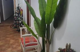 Casa Santa Maria I con barbacoa - Foto 13