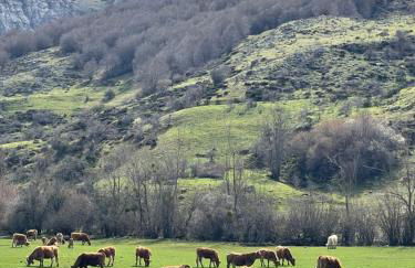 Casa Rural MONTE ROBLO - Foto 62