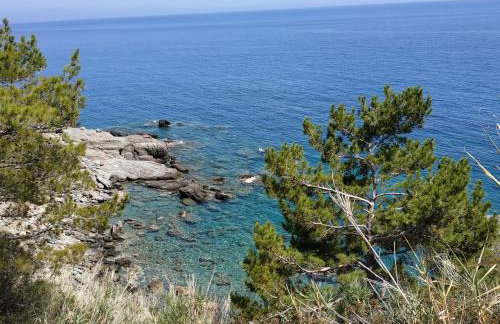 Euphoria - South Crete Villas - Foto 38