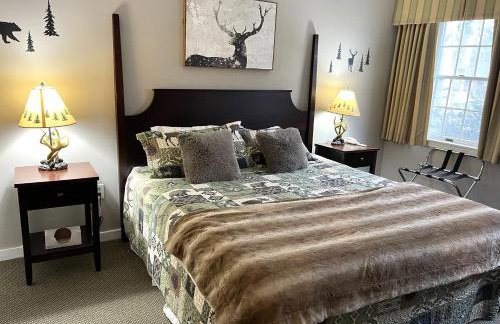 Ski On Off 1BR Suite 1st Flr Sleeps 4 Jiminy Peak - Foto 1