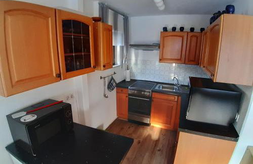 Hibiskus - a83456 - Foto 7