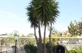 Da Don Antonio - Foto 9