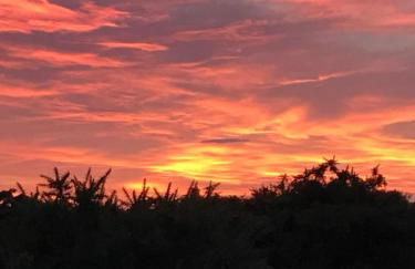 New Forest View - Foto 6