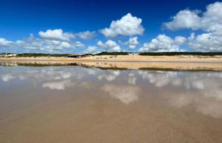 Quinta dos Samaniego - Chalés Rústicos e Suítes - Foto 17