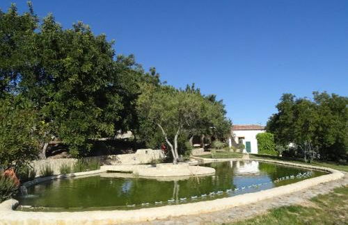 Quinta do Julião - Foto 13