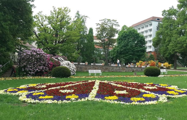 Nature & Wellness in Sohl - Photo 28