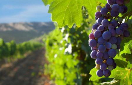 Apartment LuMaGo - Photo 50