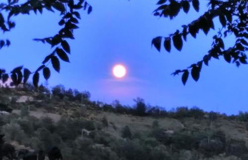 Agriturismo Il Burlino Apartments - Foto 58