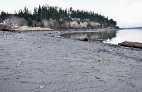 Unique Camano Cabin with Mountain and Water Views - Foto 30