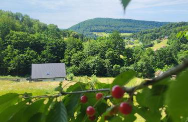 Leśne Wzgórze nad Soliną - Foto 34