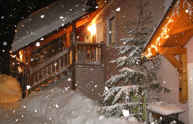 Bio Bauernhof Hotel Matlschweiger - Foto 54