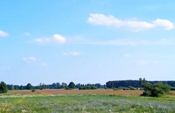 Augustówka - letnisko na Wrzosowiskach - Foto 23