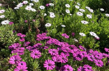 Casa do Pomar by Portucasa - Foto 102