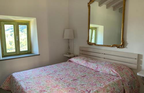 Magic Mola - Foto 12