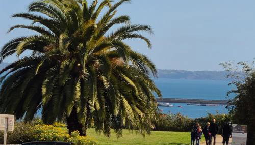 BREST - pres jardin des explorateurs - Foto 3