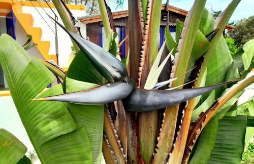 Casa Lantana - Foto 52