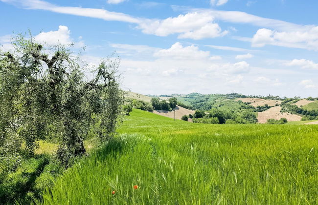 Belvilla by OYO L'ulivo - Foto 24