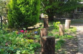 Gîte de charme proche du Zoo Beauval et Châteaux - Photo 30