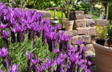 Ferienhaus Buren-Hof - Foto 25