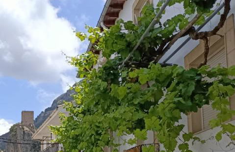 Casa de la Parra - Foto 1