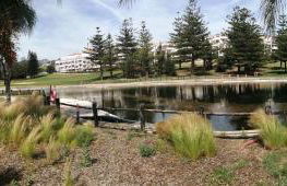 HAPPY HOLIDAYS - Photo 54