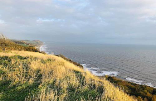 Sea Cliff View Designer Home - Photo 28