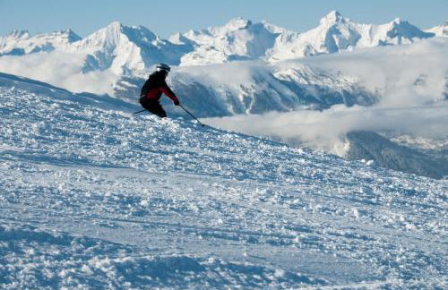 Hameau 3 002 - SPA & PISCINE appartement 4 pers - Foto 16