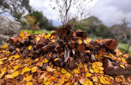 Maison de maître en pierre de 1831 avec vue sur la mer à Porticcio - Foto 23