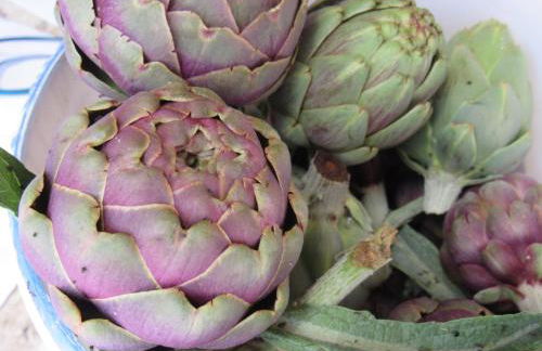 Casa Vacanze Il Libeccio - Foto 45