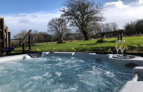 Deer Lodge - Photo 4