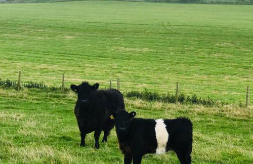 Lodge Cabin with Fabulous Views - Farm Holiday - Foto 68
