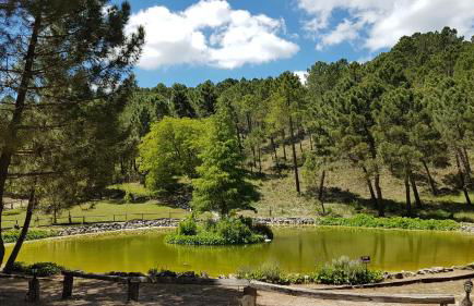 La cabaña del lago en ZAFIRO LAGUNAZO Parque Natural del Río Mundo - Foto 17