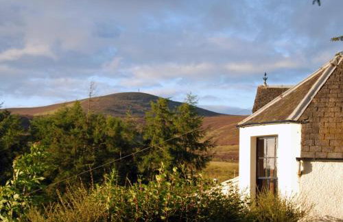 5 Bed in Blairgowrie oc-ca409 - Foto 34