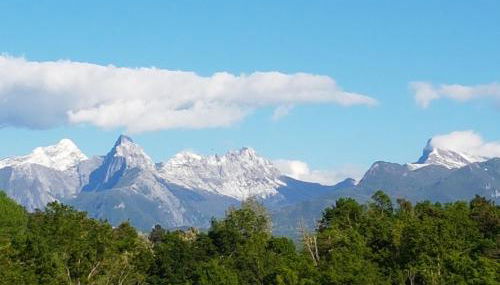 Agriturismo La Selva - Foto 3