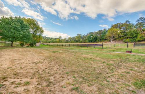 Meet Country Animals! Farmyard Stays Dundee Home - Foto 37