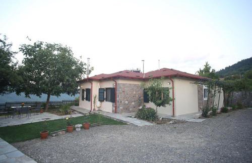 Boletus MushROOM - Foto 28