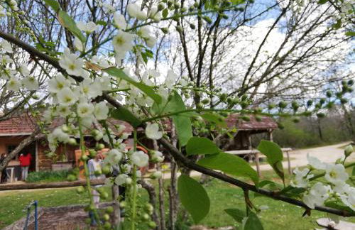 emplacement camping - Foto 12