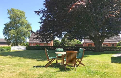 Schleimuschel - Photo 19