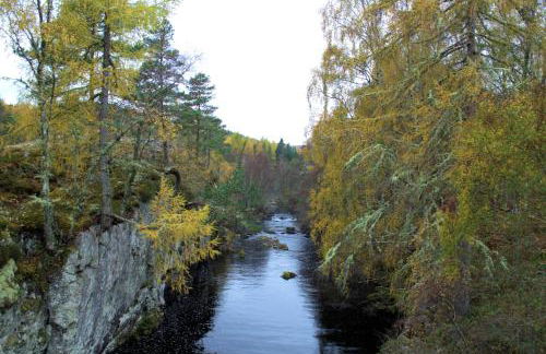 Rosemount Bothy - Highland Cottage - Foto 70