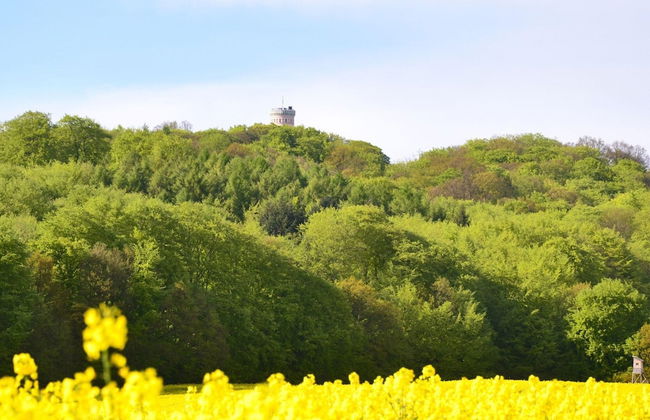 Resort Holiday Park in Sellin - Foto 24